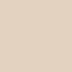 Sand Dune Paint Color DE6128