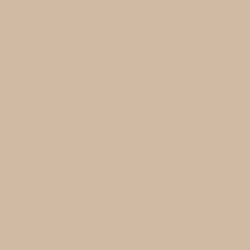 Rustic Taupe Paint Color DE6129